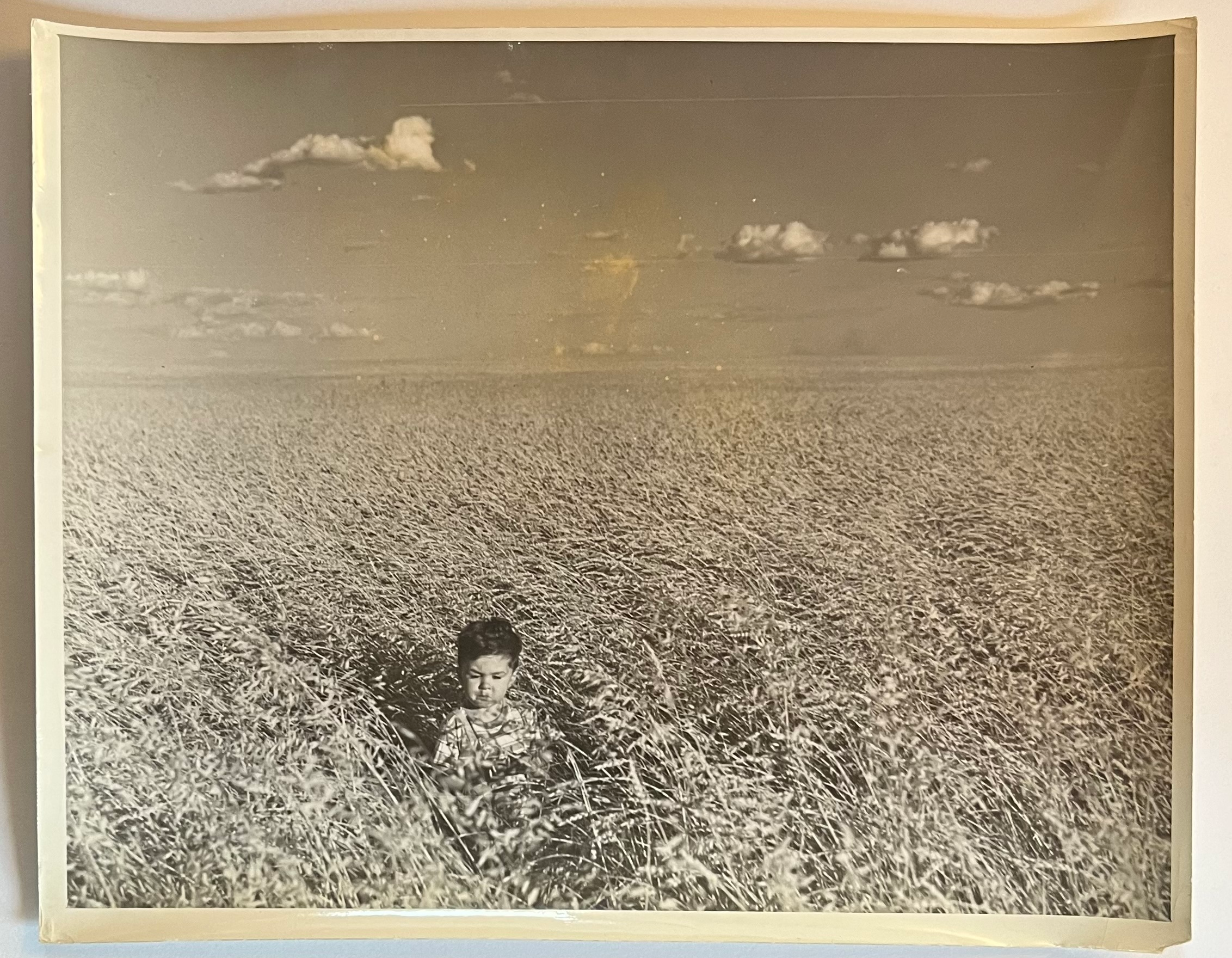 Prairie Seas