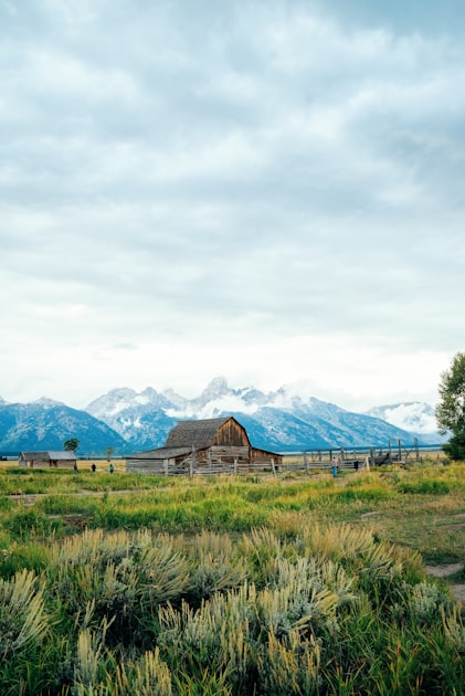 Events at Prairie Flower